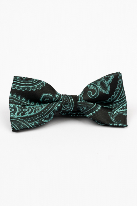 Papion negru cu model paisley verde [2]