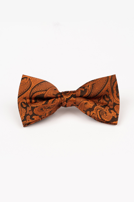 Papion negru cu paisley caramizii [2]