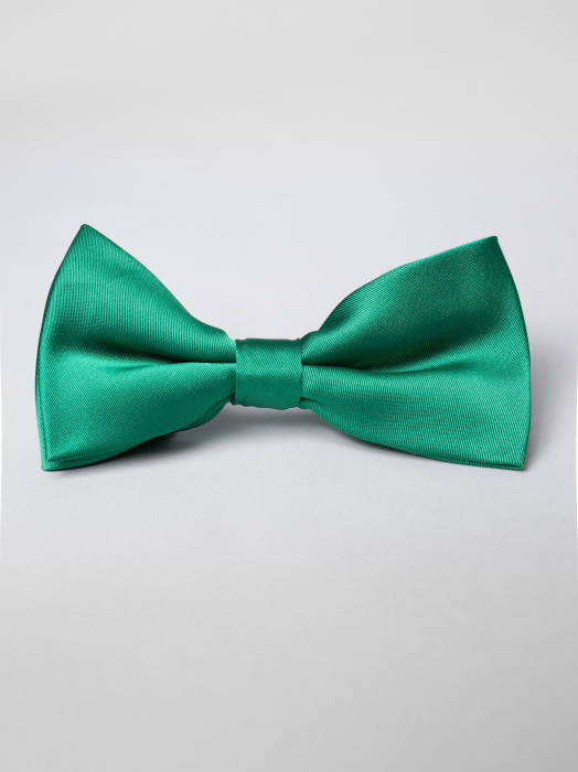 Papion verde uni [2]