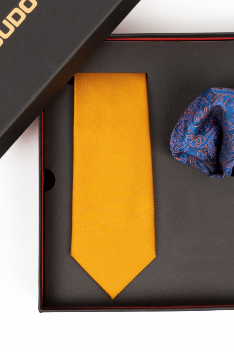 Set cadou cravata coniac si batista cu motive paisley [2]