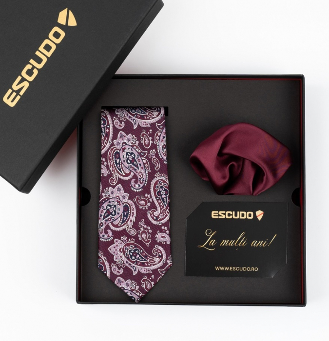 Set elegant 2 piese - cravata matase naturala si batista burgund-visiniu [2]