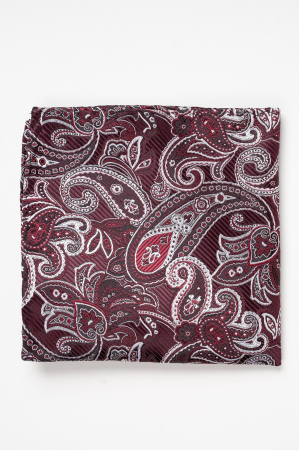 Batista visinie cu motive paisley [1]