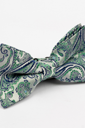 PAPIOANE - Papion argintiu cu model paisley verde si albastru
