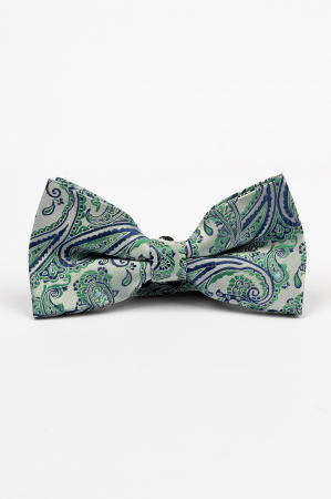 PAPIOANE - Papion argintiu cu model paisley verde si albastru