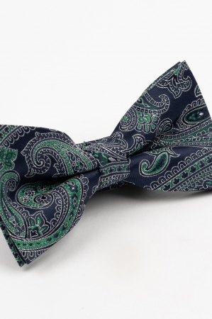 PAPIOANE - Papion bleumarin cu model paisley verde si argintiu