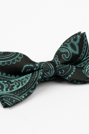 PAPIOANE - Papion negru cu model paisley verde