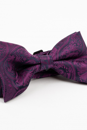 PAPIOANE - Papion navy cu imprimeu paisley fucsia