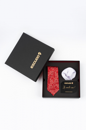 SET CADOU - Set elegant 2 piese - cravata matase naturala si batista matase naturala alba