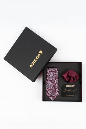 ACCESORII - Set elegant 2 piese - cravata matase naturala si batista burgund-visiniu