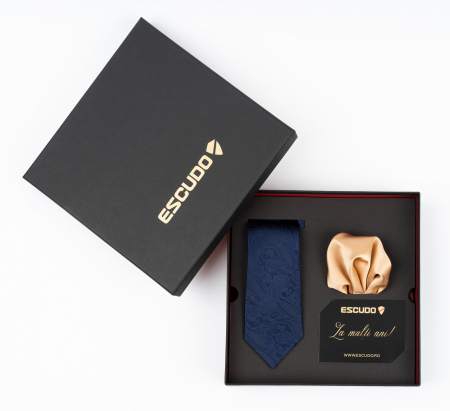 ACCESORII - Set elegant 2 piese - cravata matase naturala si batista aurie