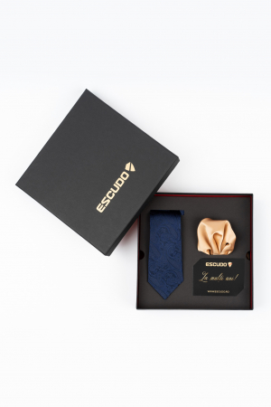 ACCESORII - Set elegant 2 piese - cravata matase naturala si batista aurie