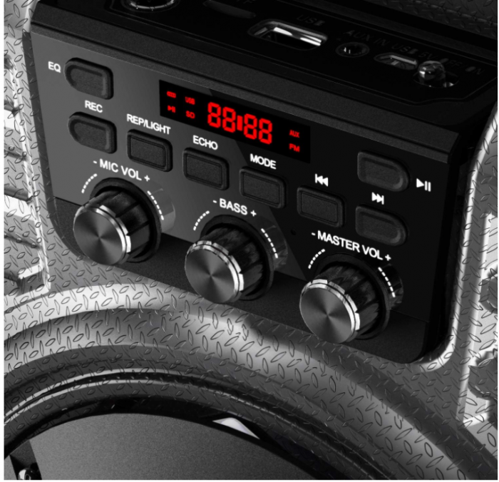 Aparat de karaoke EARISE T26 Pro cu 2 microfoane fără fir [6]