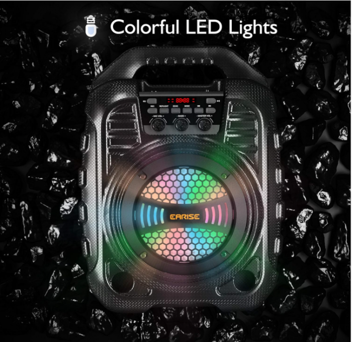 Aparat de karaoke EARISE T26 Pro cu 2 microfoane fără fir [5]