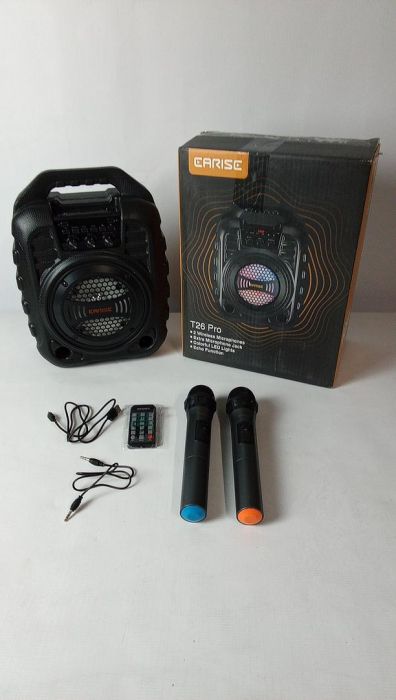 Aparat de karaoke EARISE T26 Pro cu 2 microfoane fără fir [2]
