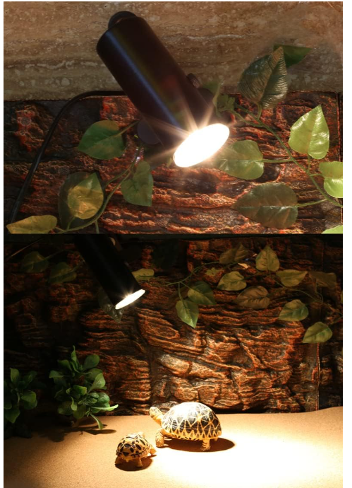 Bec cu inflarosu pentru incalzire terariu, E27, 25W, pentru reptile, amfibieni, terarii [6]