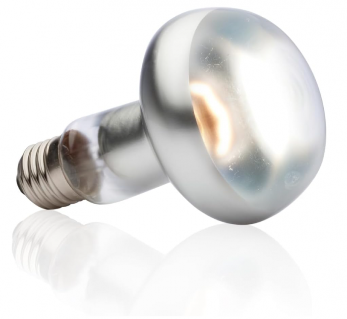 Bec pentru terariu Exo Terra Intense Basking Spot, 100 W [3]