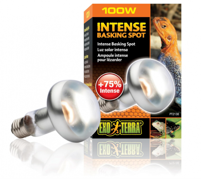 Bec pentru terariu Exo Terra Intense Basking Spot, 100 W [2]