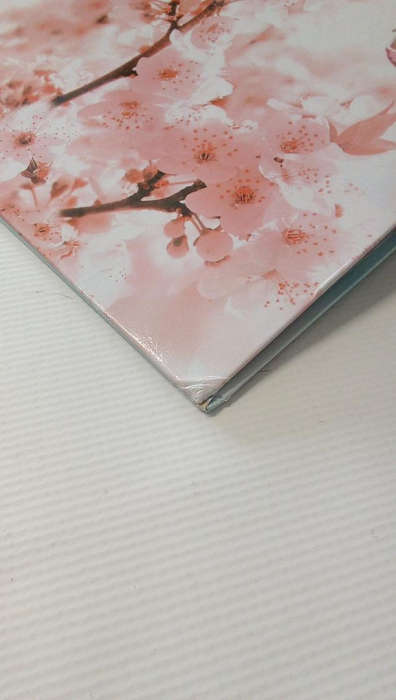 Biblioraft arhivare A4 HERMA 19556 [2]