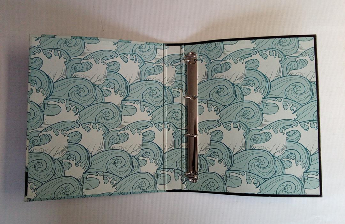 Biblioraft Pokémon, caiet mecanic [6]