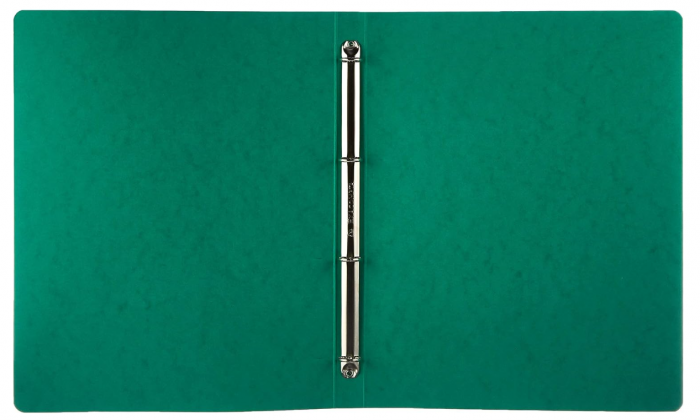 Caiet mecanic Exacompta 51250E A4, 4 inele, 15 mm diametru, 20 mm cotor, verde [4]