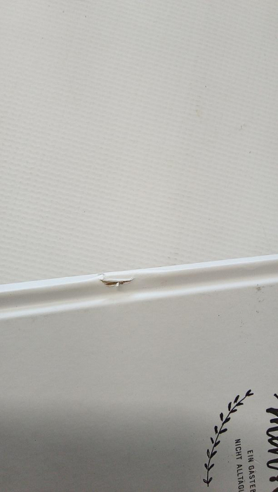 Carte de oaspeți de nuntă amuzantă, cu întrebări de completat, limba germană, 17 x 24.5 cm [2]