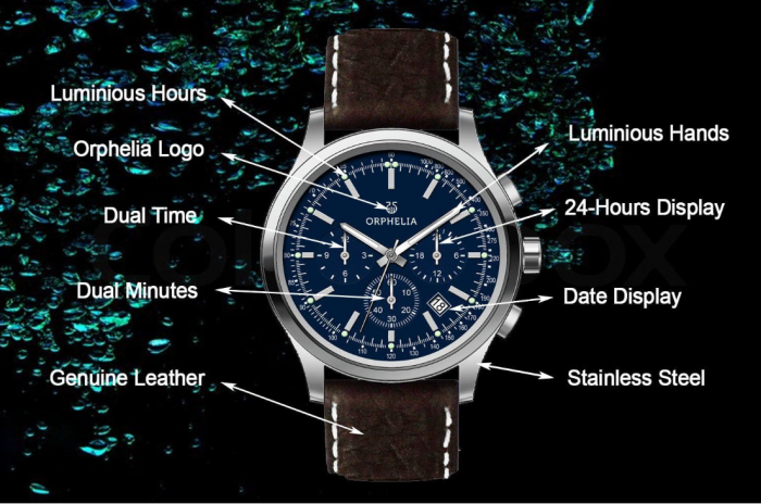 Ceas barbatesc Orphelia, curea din piele, cu quartz [7]