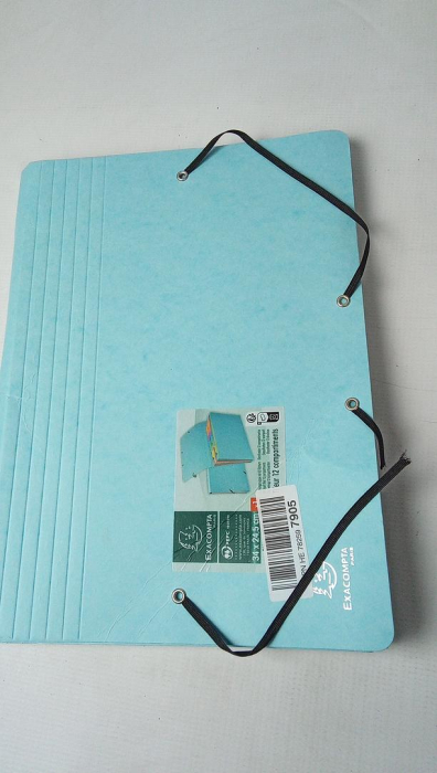 Dosar Exacompta 58560E, 12 compartimente pentru documente A4 [2]