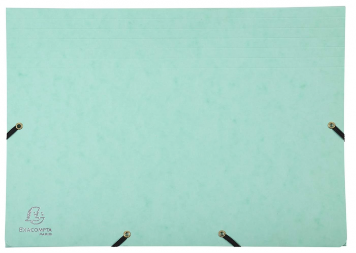 Dosar Exacompta 58560E, 12 compartimente pentru documente A4 [6]