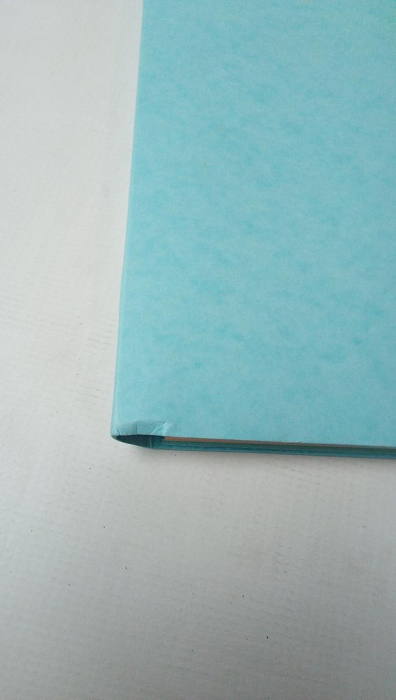 Dosar Exacompta 58560E, 12 compartimente pentru documente A4 [3]