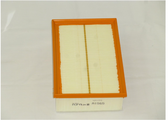 Filtrul aer motor PURFLUX A1565 [5]