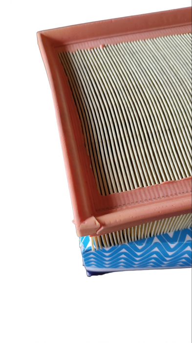 Filtrul aer motor PURFLUX A1565 [3]