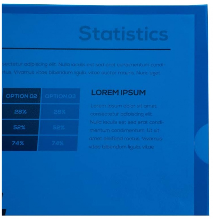 Folie protectie pentru documente A4 Exacompta 58522E, pachet de 100, deschidere în formă de L [6]