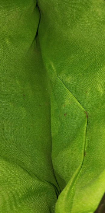 Geantă de mână din paie EVEOUT, pentru femei, verde [3]