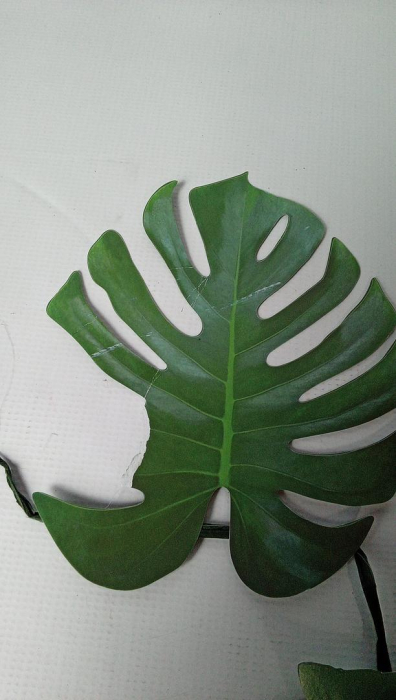 Ghirlanda cu frunze de palmier tropical Talking Tables, lungime 2.6m [2]