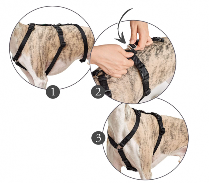 Ham pentru caini HUNTER Vario Rapid, Marimea L, negru [3]