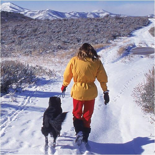 Lanturi antiderapante pe zăpadă și gheață pentru incaltaminte Yaktrax Walker, L 44/46 [8]