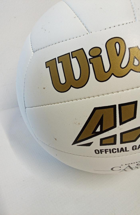 Minge de volei Wilson Castaway, alb [3]