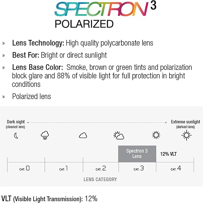 Ochelari de soare Julbo Cham pentru bărbați, L [3]