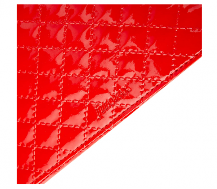 Organizator Filofax A5 Domino Luxe roșu [3]