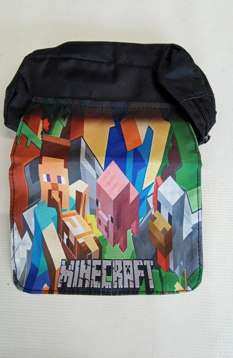 Penar pentru scoala cu model Minecraft [2]