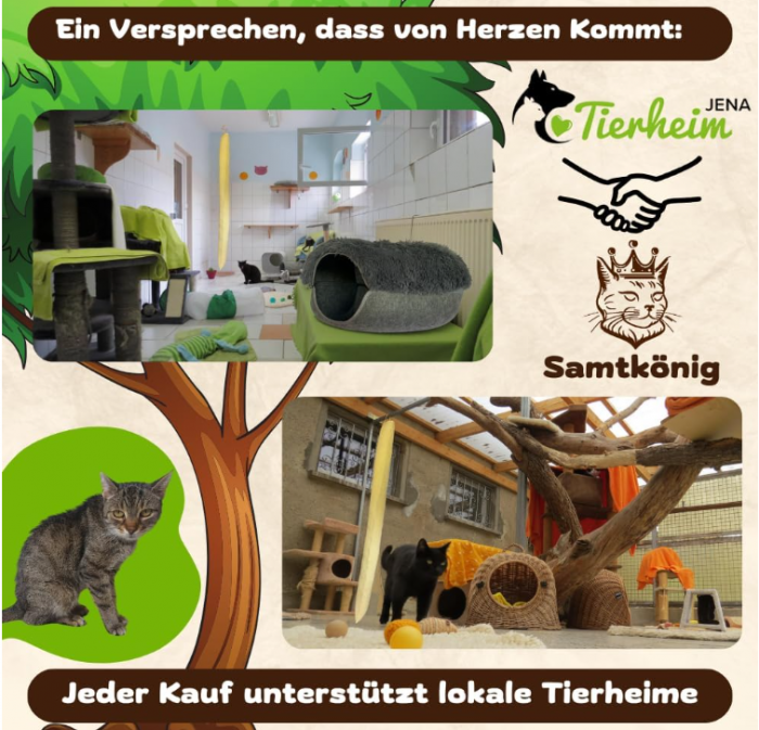 Sac de de zgâriat si cățărat pentru pisici Samtkönig [7]