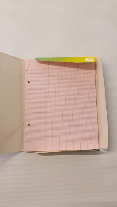 Set 100 foi Clairefontaine 1343C A5+, cu linii Séyès, hârtie velină de 90 g/m², culoare roz [3]