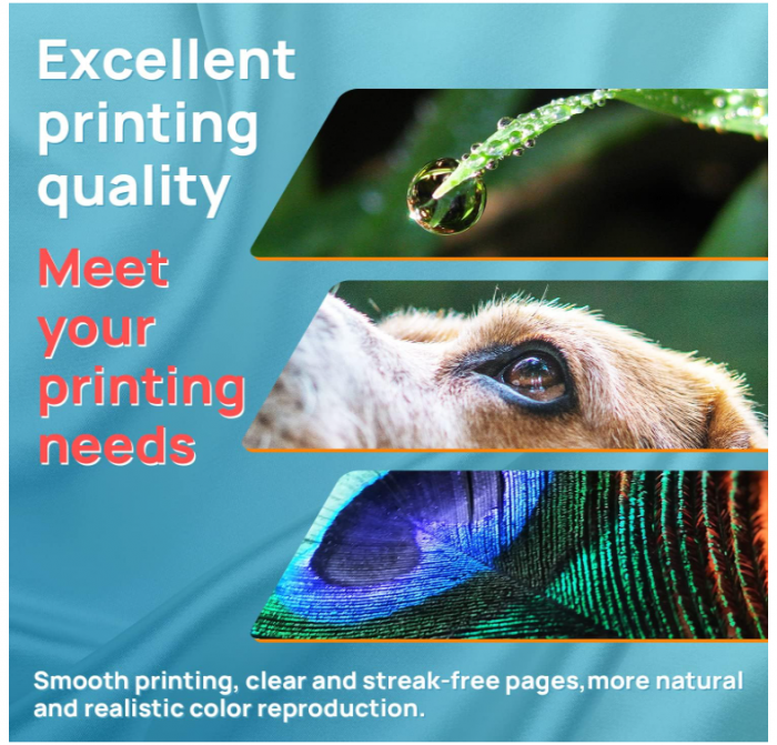 Set 5 cartușe de cerneală Tinnee compatibile cu Epson 603XL, negru [2]