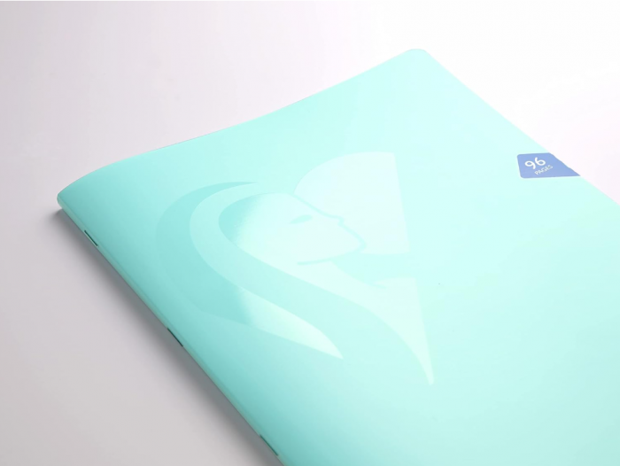 Set 9 caiete metrice A4 Clairefontaine 353361C, 96 de pagini/caiet, verde [6]