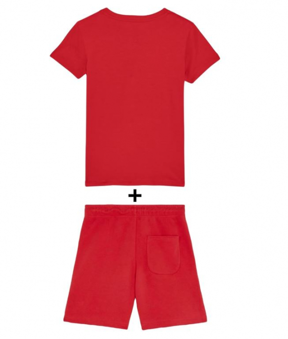 Set tricou si pantaloni scurti unisex AMERICAN COLLEGE, rosu/galben, M [6]