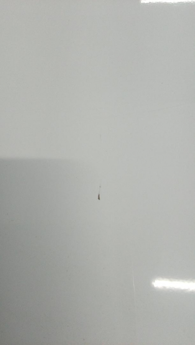 Tablă albă magnetica Amazon Basics, 90 cm x 60 cm (Lxl) [4]