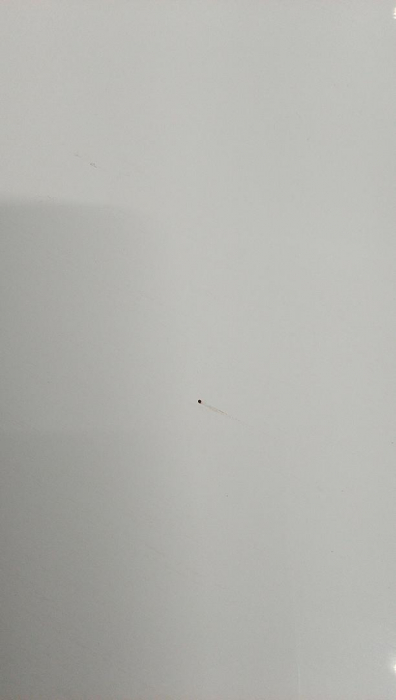 Tablă albă magnetica Amazon Basics, 90 cm x 60 cm (Lxl) [5]