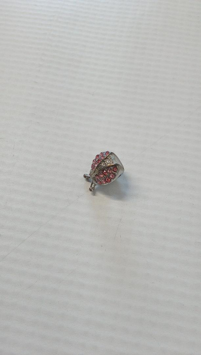 Talisman gărgăriță/buburuză din argint 925, breloc pentru brățară Pandora [2]