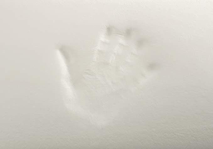 Todocama - Pernă anti-acarieni şi bacterii 150cm [3]