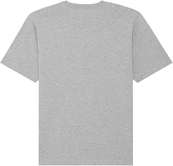 Tricou cu maneca scurta pentru copii REDSKINS Junior, unisex, gri, 10 ani [2]